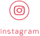 fixed instagram icon