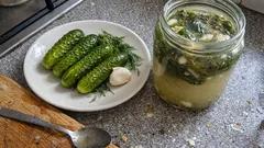 Ogórki małosolne w solance: prosta proporcja soli, dzięki której zawsze wychodzą chrupiące